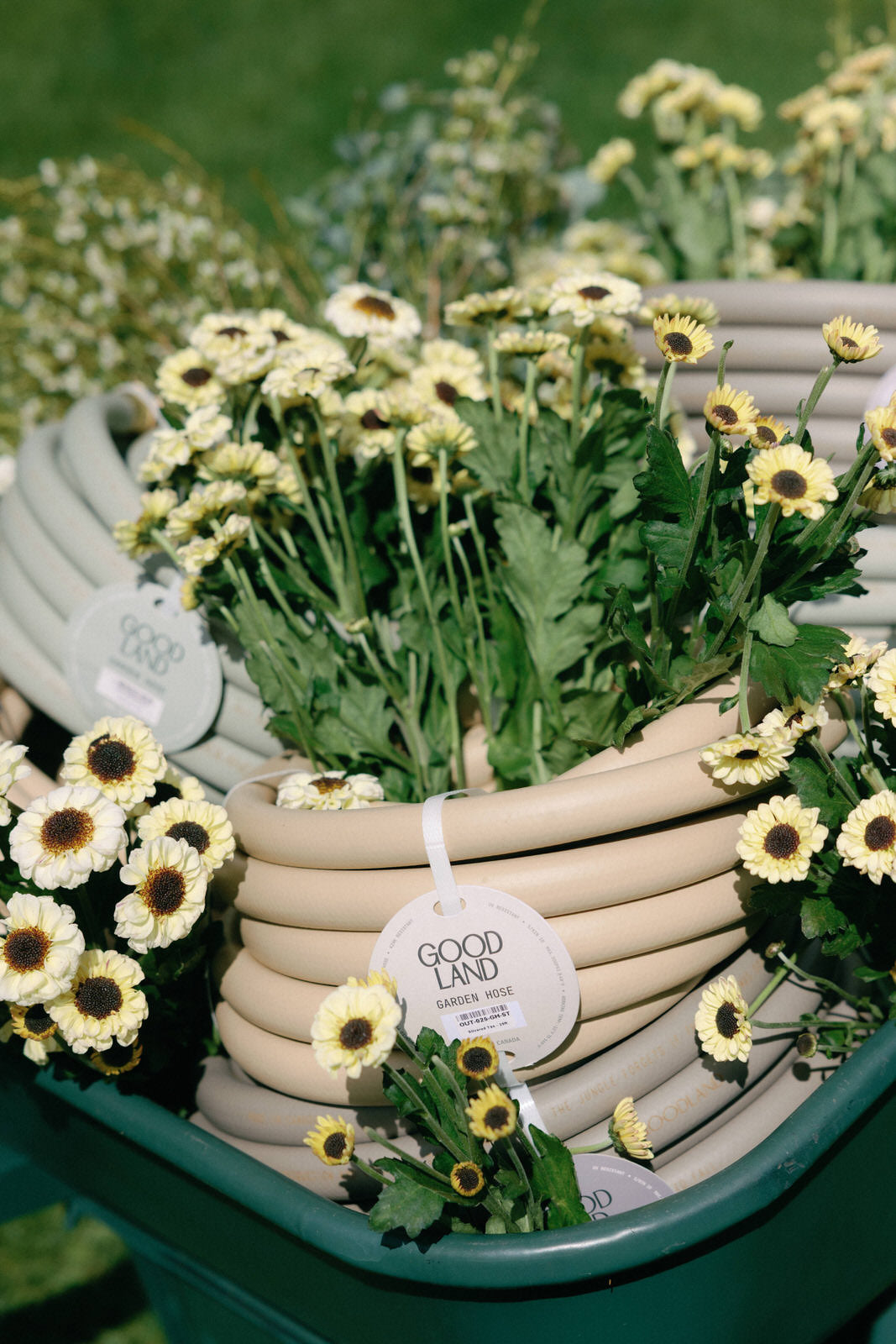 Everlasting Garden Hose