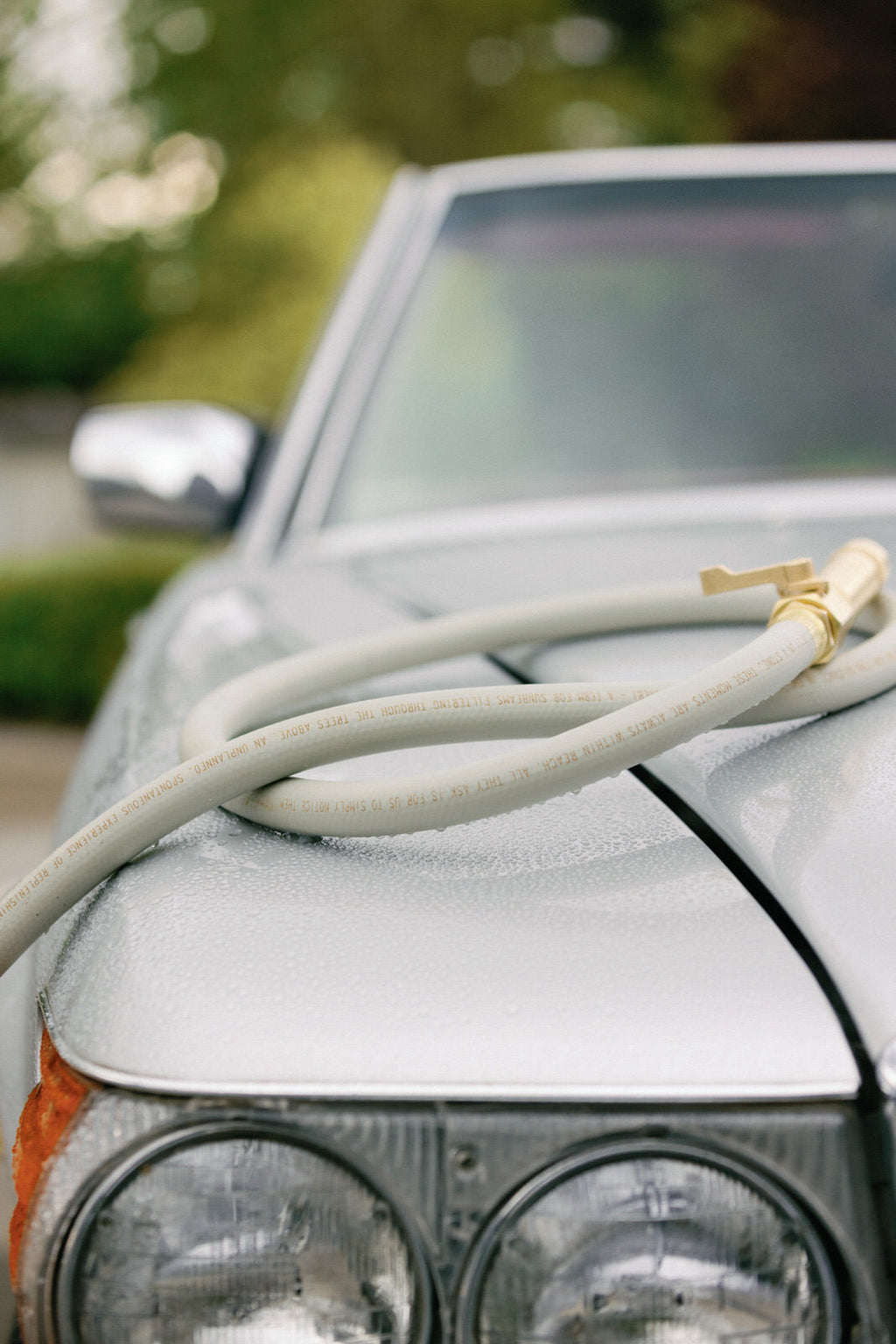 Everlasting Garden Hose