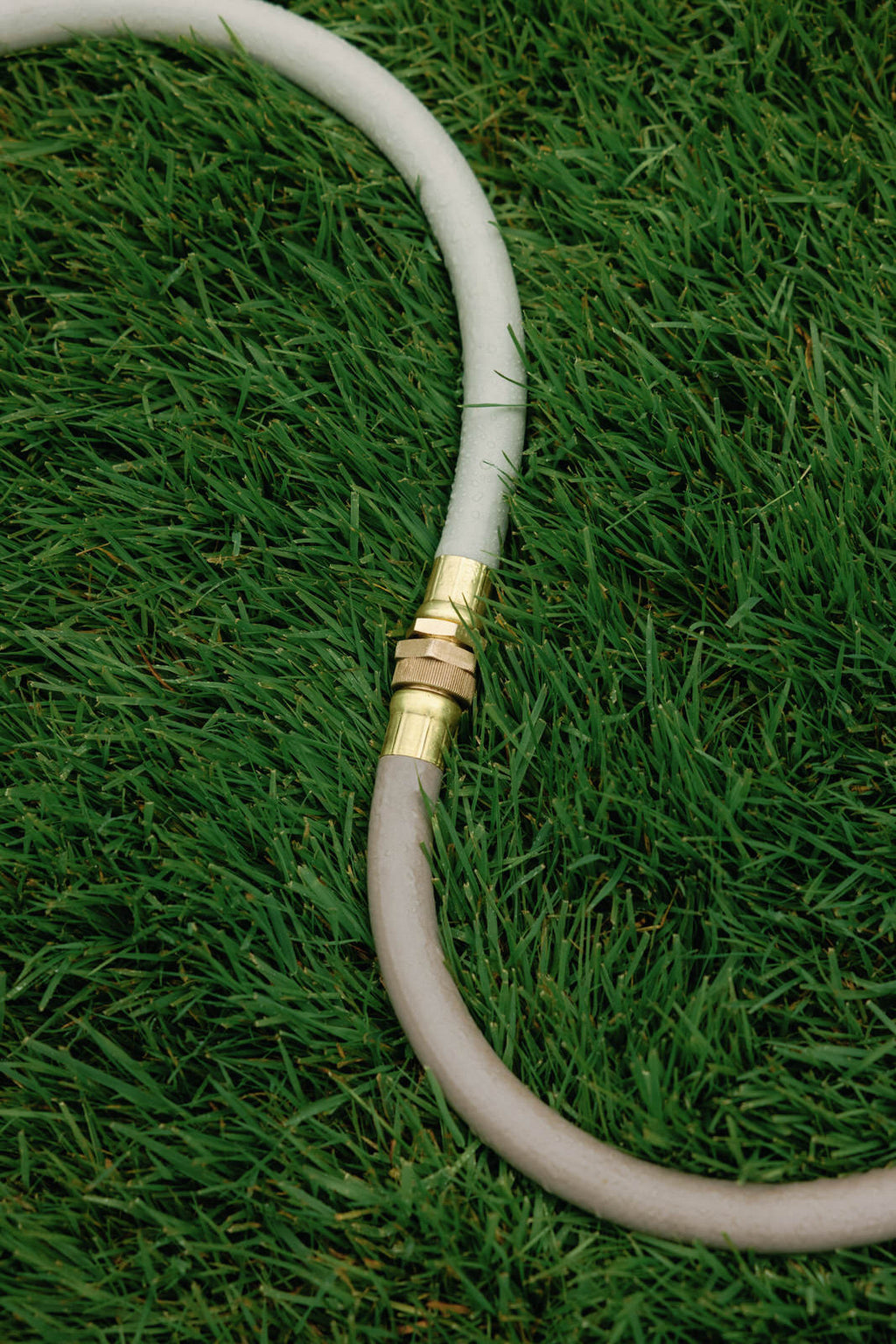 Everlasting Garden Hose