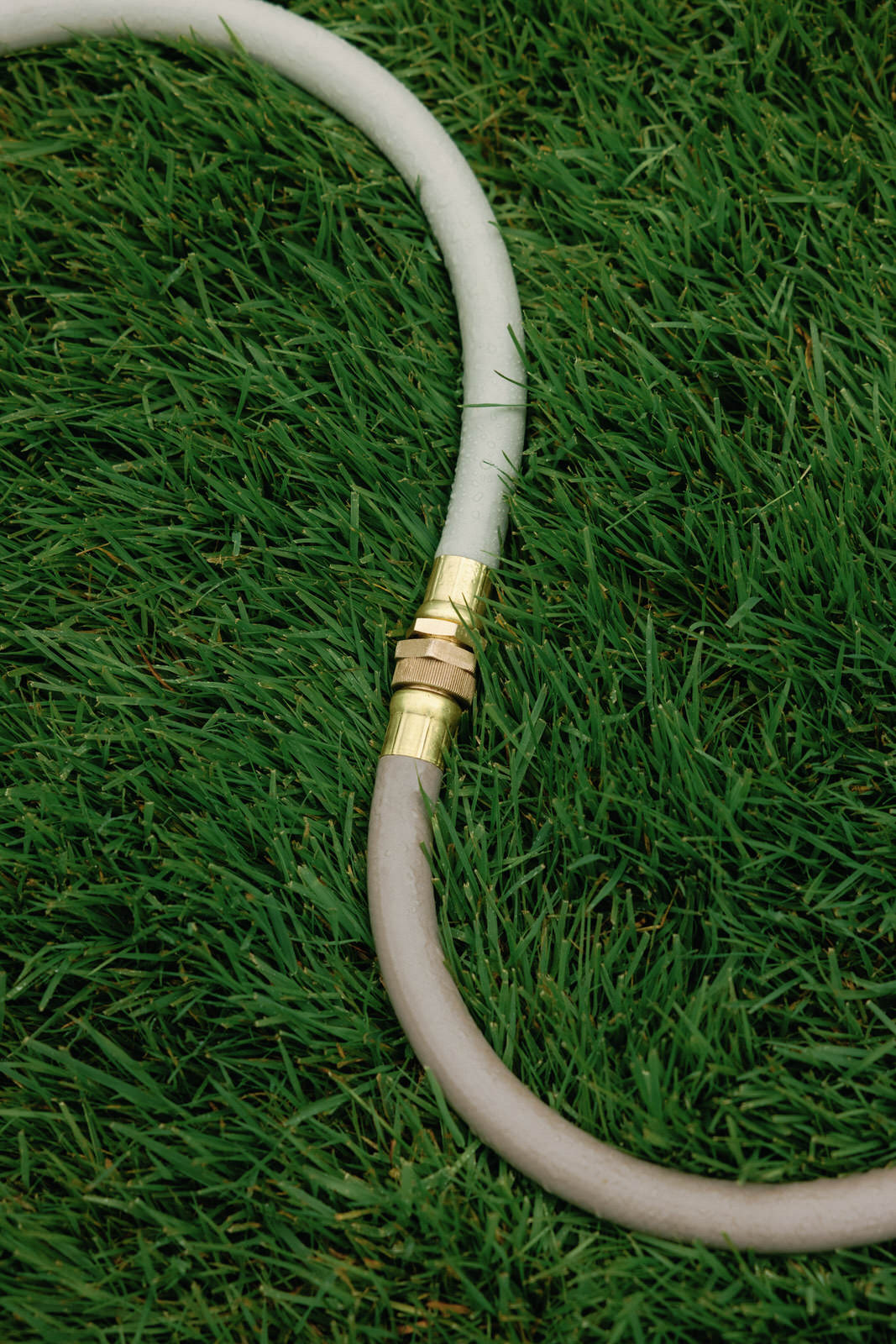 Everlasting Garden Hose